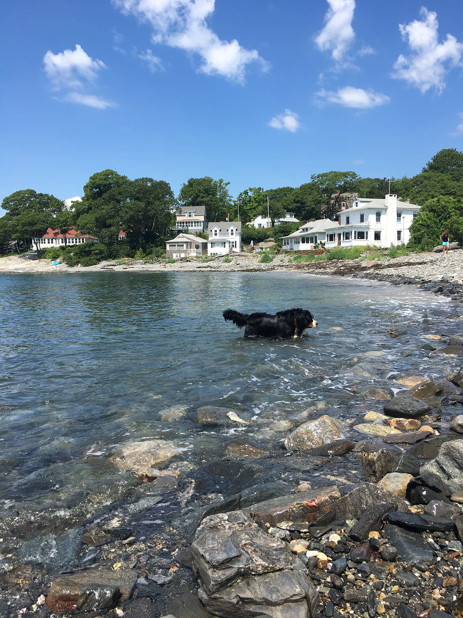 Exploring Peaks Island.